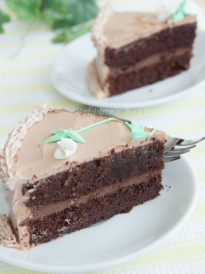 Best Belgian Chocolate Cake Recipe At Stanley Barnes Blog