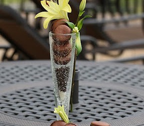 How Baking composed My Journey through Photography and learning HTML code