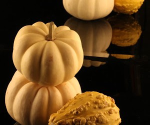 HALLOWEEN TREATS NO TRICKS