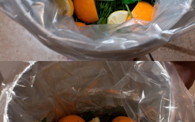 To Brine or not to Brine, The Holiday Time