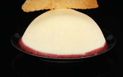 A Birthday Gift: Tangy Rose-Vanilla Bean- Panna Cotta with Red Current Coulis Gel