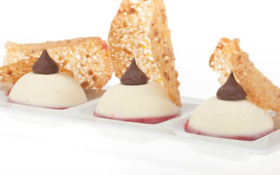 Mini Panna Cotta Bombes