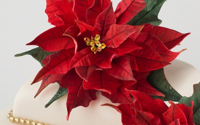 Poinsettia Cake, A Peek into our Holiday Traditions