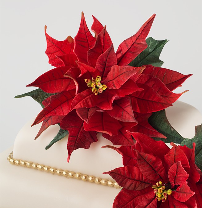 Poinsettia Cake, A Peek into our Holiday Traditions