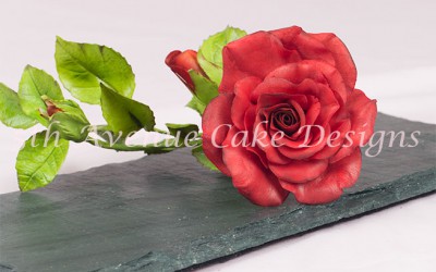 Long Stem Roses From Bud To Wired Petals Video Series