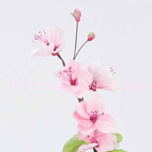 learn how to make cherry blossoms and petals