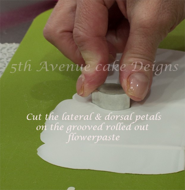 Flower Paste Orchid Tutorial 5th Avenue Cake Designs