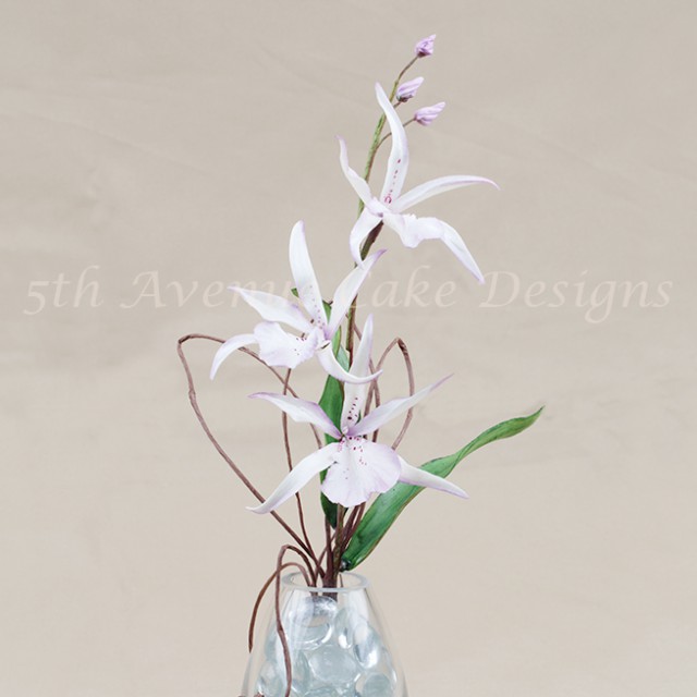 learn how to make flower paste orchids